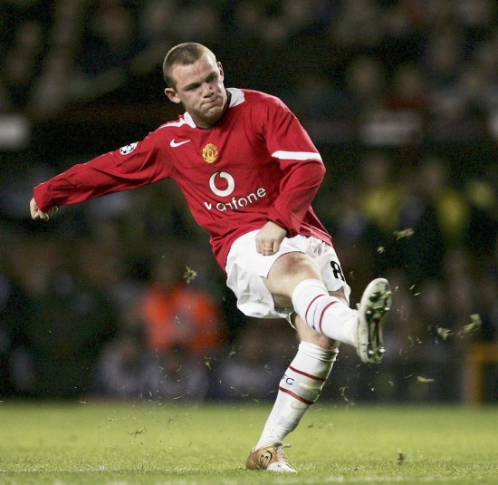 迅速适应了 迅速适应了