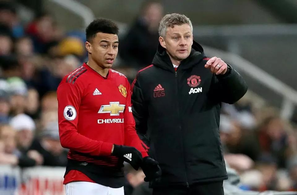 高昂的斗志 高昂的斗志